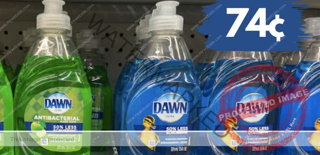74¢ Dawn Dish Liquid at Walgreens_655bfdb43b6f7.jpeg