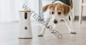 Furbo 360 Degree Dog Camera Treat Dispenser Only $145 Shipped on Amazon (Reg. $210)
