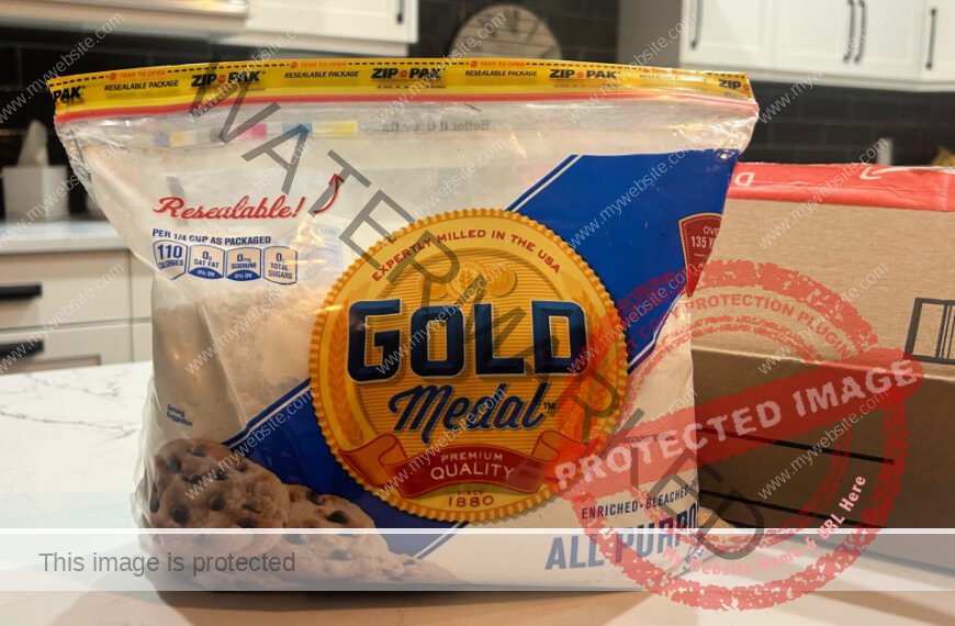 Gold Medal Flour 4.25-Pound Resealable Bag Only…