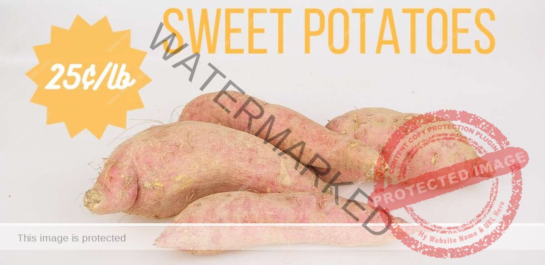 Pick Up Sweet Potatoes as Low as 25¢/lb. at Stores All Over
Town_655aac4a42fac.jpeg