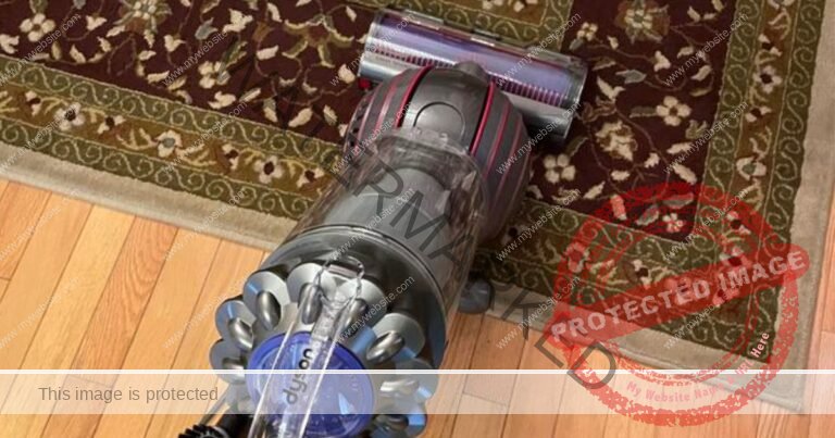 Dyson Ball Animal 3+ Upright Vacuum Cleaner Only $279.98 on SamsClub.com (Reg. $350)