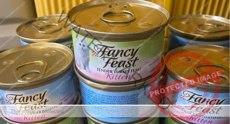 Purina Fancy Feast Cans 24-Pack Just $9.58 Shipped on Amazon (Reg. $21)